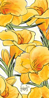 daylily design
