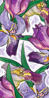 iris design